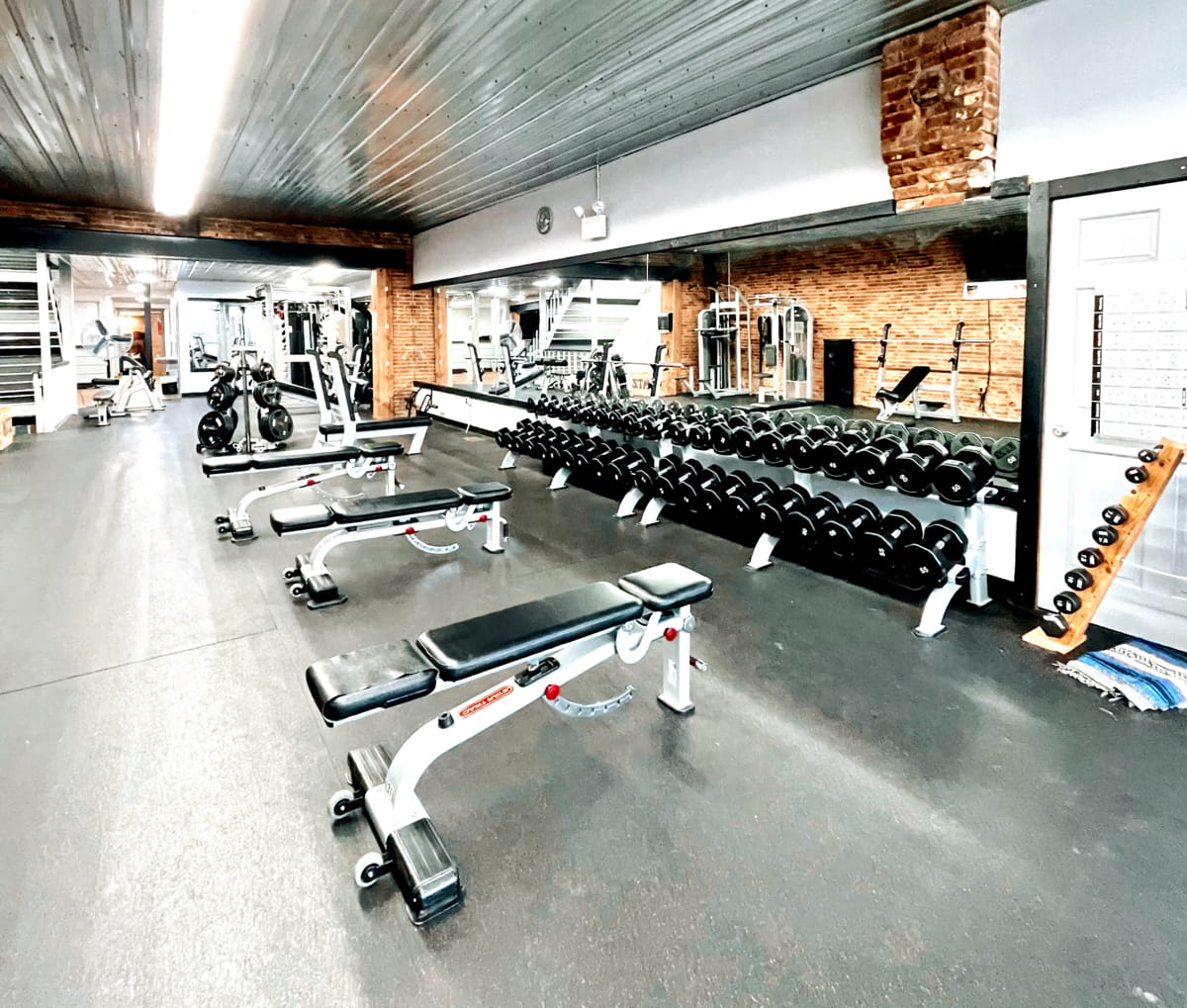 Adjustable Benches and Dumbbells