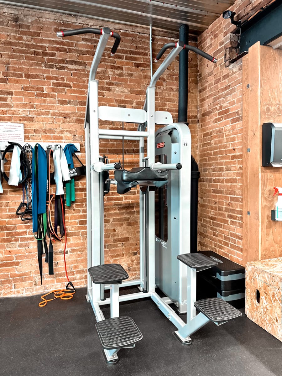 Pull-Up and Dip Assist